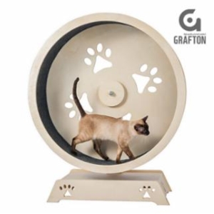 [불명] 그래프턴 원목 캣 휠 대형이미지입니다. 누르면 해당 게시물로 새창이동합니다.