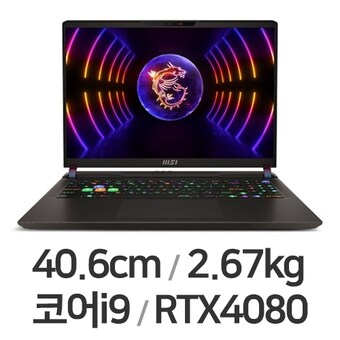 MSI GP시리즈 Vector GP68 HX 13VH-i9 QHD WIN11 32GB램
