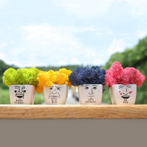 메세지이모티콘 스칸디아모스 화분-습기제거,공기정화,_ 100807377