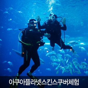  아쿠아플라넷 제주 스킨스쿠버 체험 [소인1]