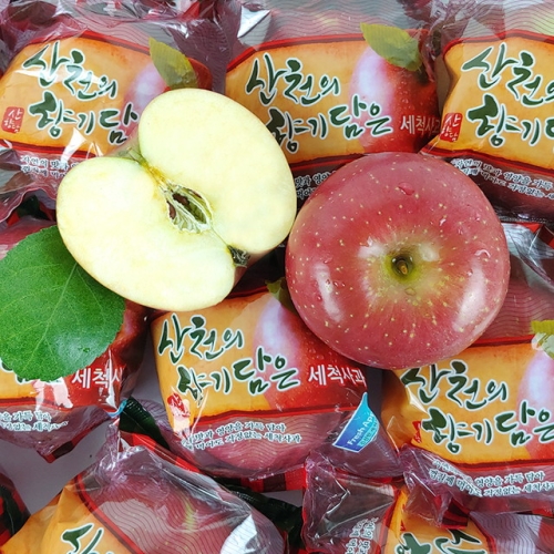 더조은푸드 경북 19년 햇 부사 세척사과 가정용 5kg
