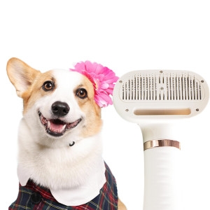 [불명] 댕댕살롱 페페드라이어 DDSM-21