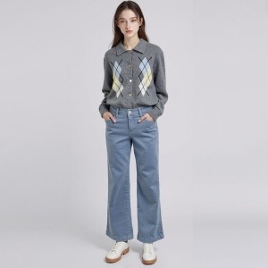 �η����� ���������� BORLPT504A