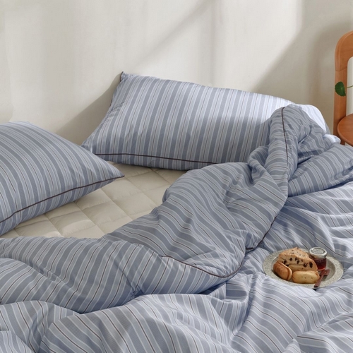 알레르망 파르페 주베트 알러지케어 다운필 차렵이불세트 (싱글 S/슈퍼싱글 SS)