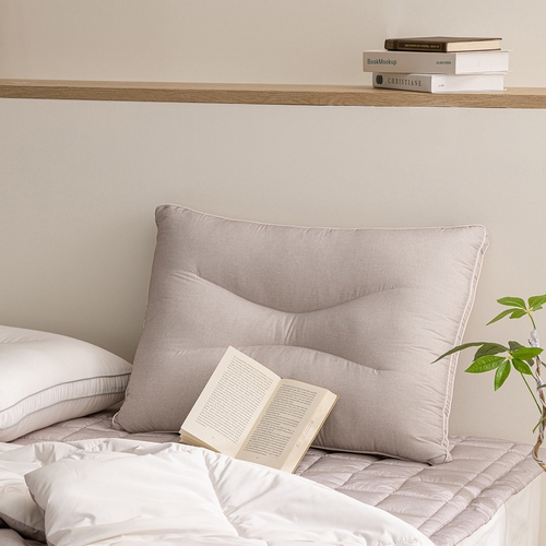 파르페 빌리프 알러지케어 워셔블 경추베개 (1개, 50x30x12cm)_이미지