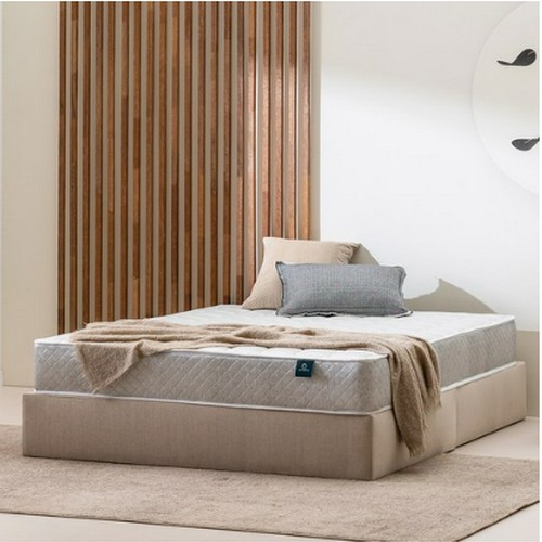 ���۴��� �㸮�� �����ھ� ���帮�� ������ ��Ʈ���� MS