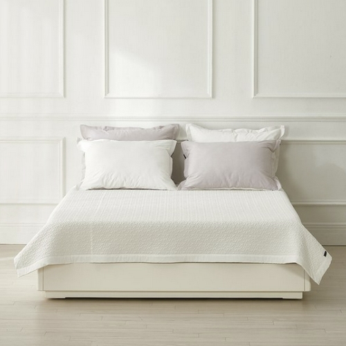 ���ƺ� ���������ε� ������ ���е� �� ��� ���� ��������