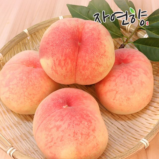 자연향 아삭이 복숭아 6kg