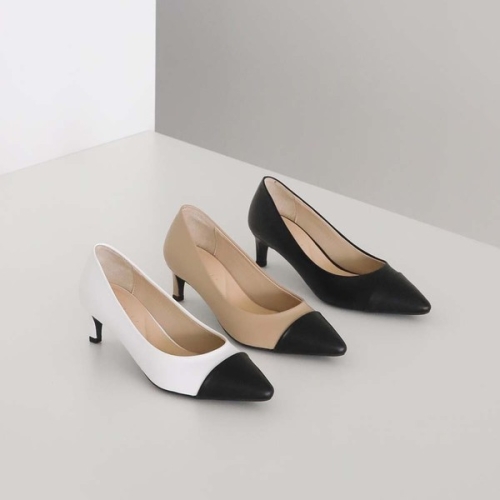 �����ũ SCA_5202 ���� ������ ������ ���屸�� 5��ġ ������