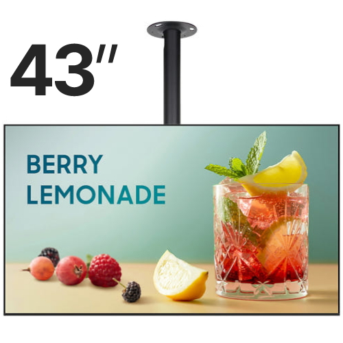 삼성전자 LH43BEFHLBFXKR (천장형)