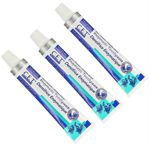 ���� C.E.T. �߰���� ġ�� 70g
