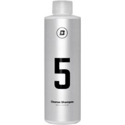 레이노섹터 블라스크 클린즈샴푸 카샴푸 500ml (2개)_이미지