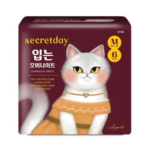 하이베러 시크릿데이 입는 오버나이트 중형 6개 (4팩(24개))