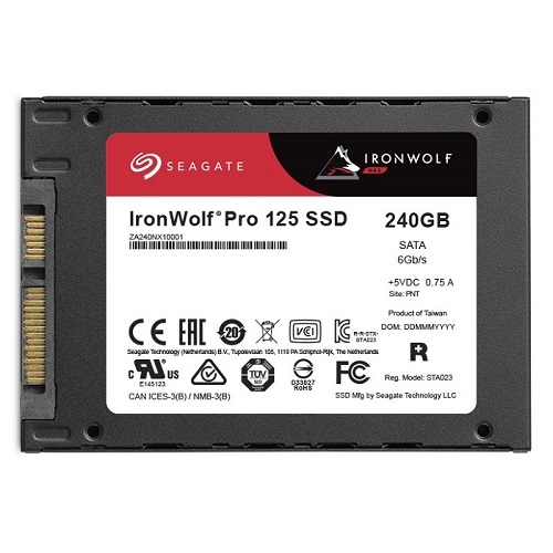 Seagate IronWolf Pro 125 SSD