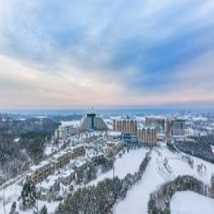 [불명] 소노문 델피노