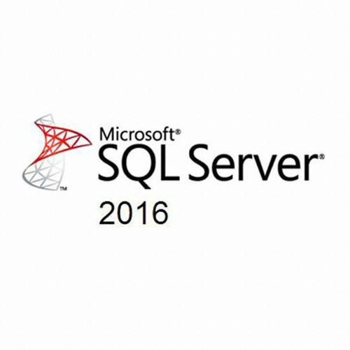 Microsoft SQL Server Standard 2016 (처음사용자용 기업용 영문 10 CAL)