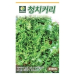 다농 청치커리씨앗 (2000립)_이미지