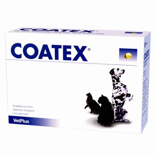 벳플러스 코텍스 블리스터 60p (1개)_이미지