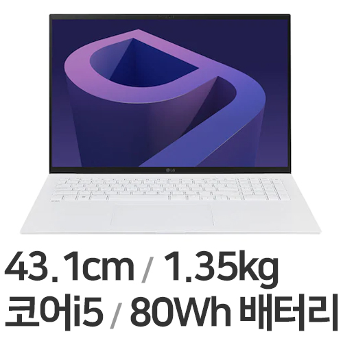 LG전자 2022 그램17(12세대) 17ZD90Q-GX56K WIN11 (SSD 256GB)_이미지