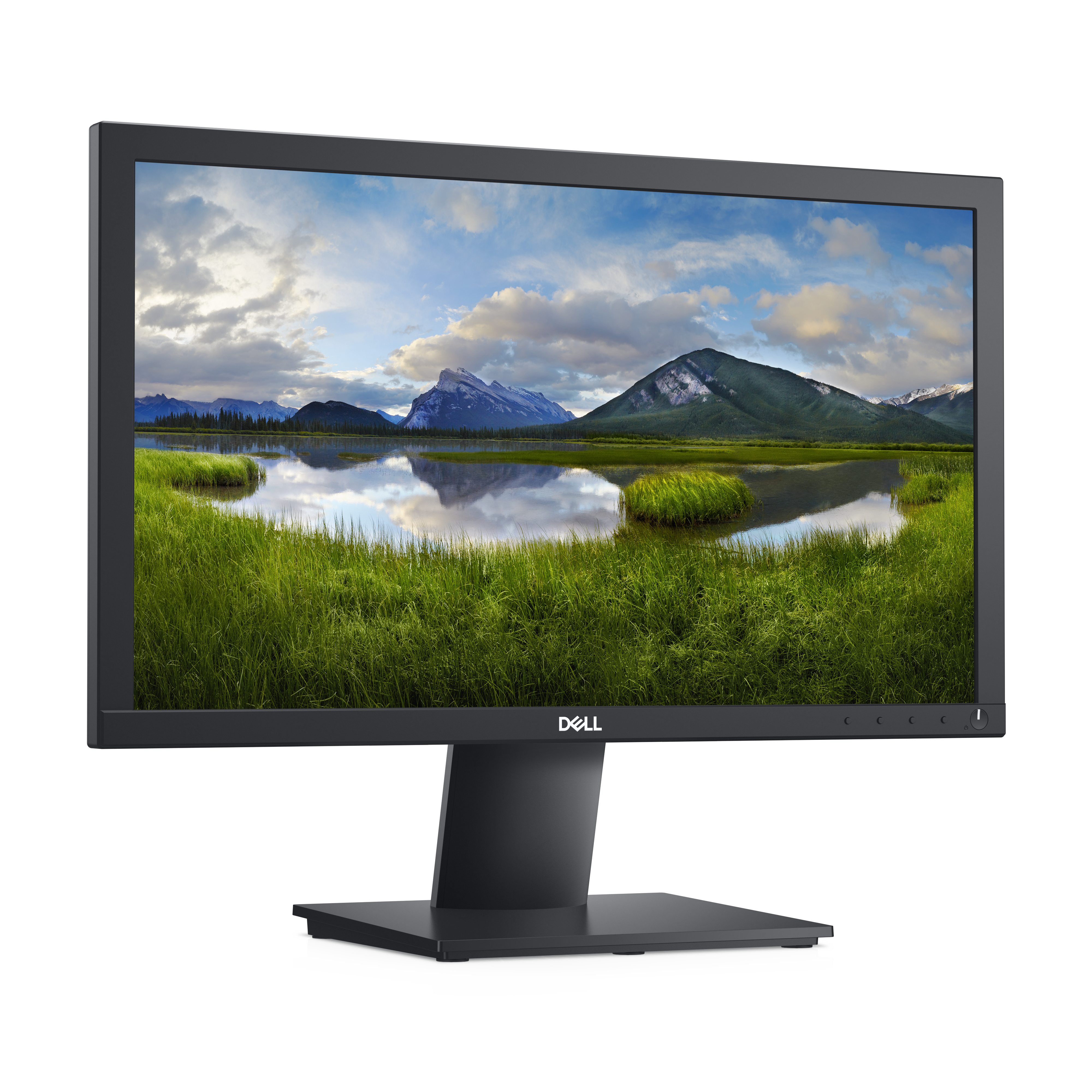 DELL E2020H