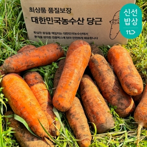 대한민국농수산 햇당근 못난이 3kg (1개)_이미지