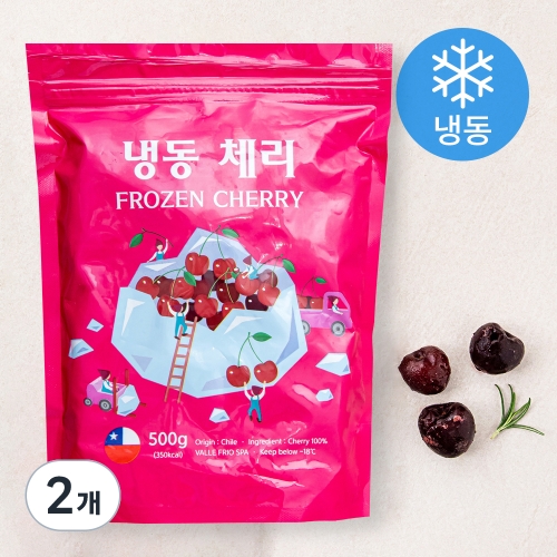 �������� ü�� �õ� 500g 2��