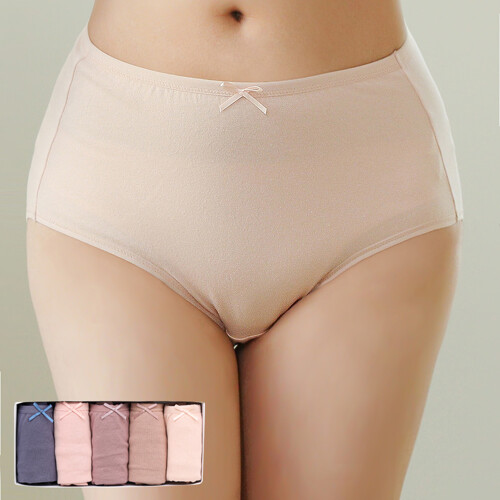 제임스딘 면스판 맥시 삼각 요일 팬티 5매입 세트 JHWPZP11 (5매)_이미지