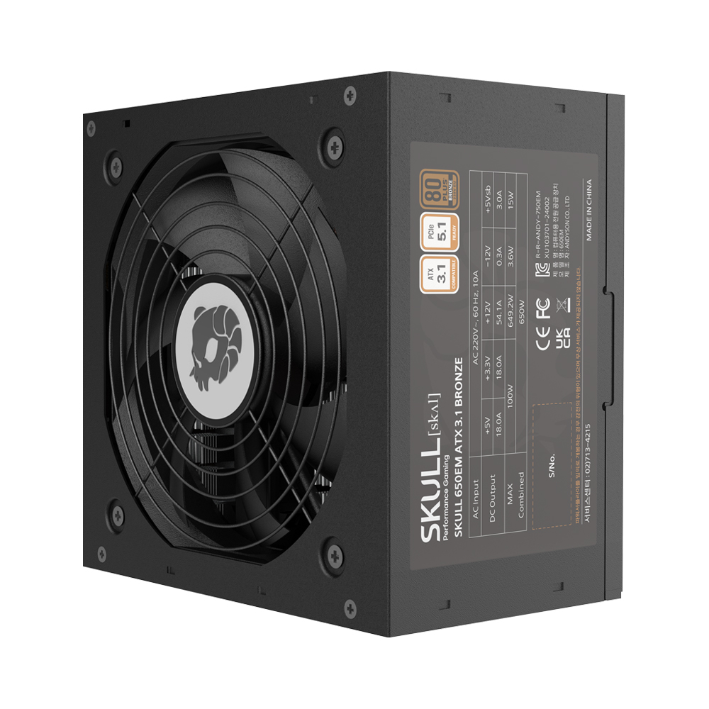 NEWZEN SKULL 750EM 80PLUS����� ATX3.1