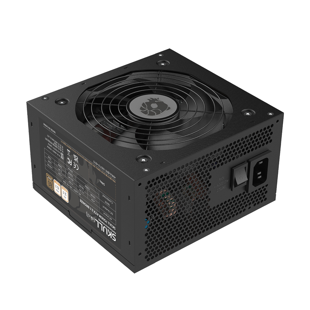 NEWZEN SKULL 750EM 80PLUS����� ATX3.1