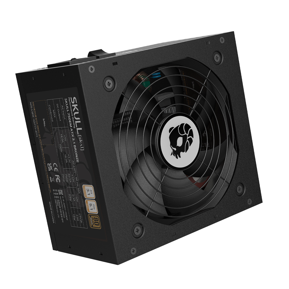 NEWZEN SKULL 750EM 80PLUS����� ATX3.1