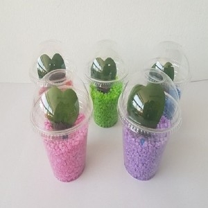 [�Ҹ�] ��¿������̼� �����Ĺ� ������ �ɱ� 5�ο�