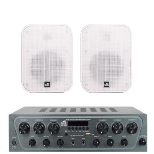 GNS MA-260 + GIPS-40 (스피커, 1조)