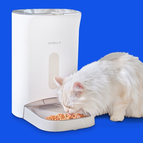 ������ �ݷ����� ����Ʈ �ڵ��޽ı� OP-PF03