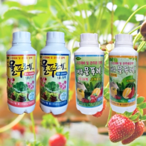대유 물푸레 세트 1호 2호 수경재배 비료 텃밭 홈가드닝 상추 토마토 딸기 영양제이미지입니다. 누르면 해당 게시물로 새창이동합니다.