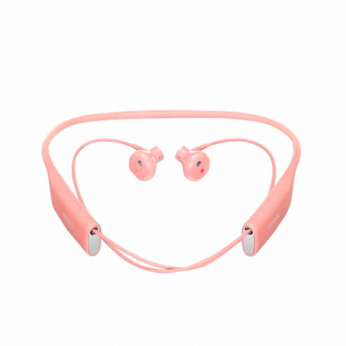 SONY SBH70 (정품)_이미지