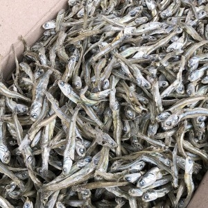 신건호멸치 중상급 고바멸치 1.5kg 가정용 안주멸치 멸치_이미지