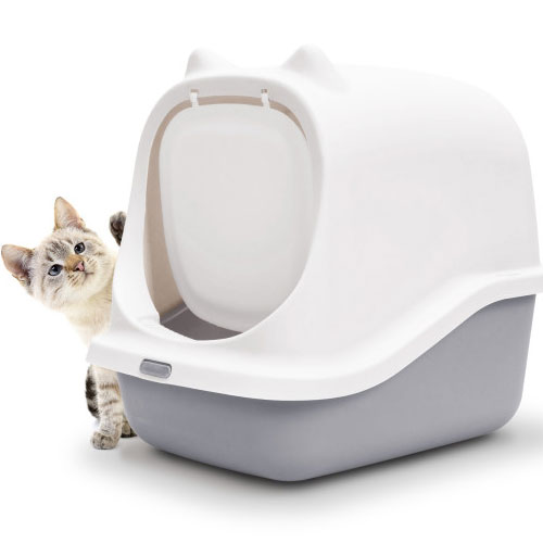 (��)�����ڸ��� �����ڸ��� �¸��� G-LIVING ������ ������ ȭ��� CTL-A35