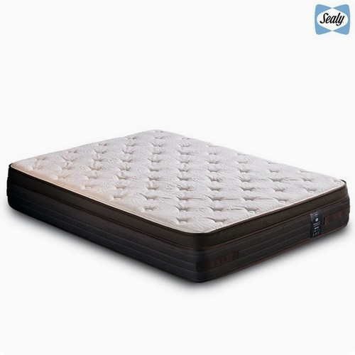 ���� ���罺 ��Ʈ���� SS