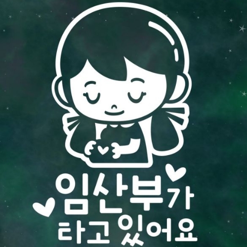 스튜디오치치카포 리틀메테오 자동차 스티커 임산부 오드리_이미지