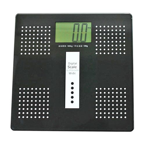  경인계기 W-100