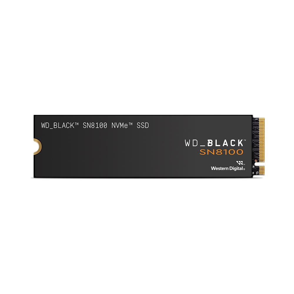 Western Digital WD BLACK SN8100 M.2 NVMe (1TB)_이미지