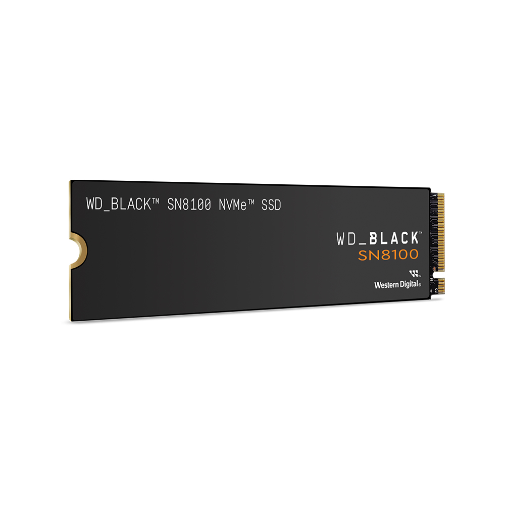 Western Digital WD BLACK SN8100 M.2 NVMe (1TB)_이미지