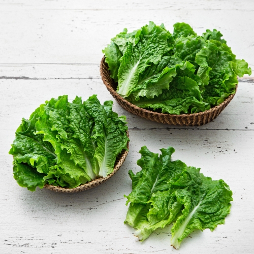 곰곰 청상추 200g (1개)_이미지