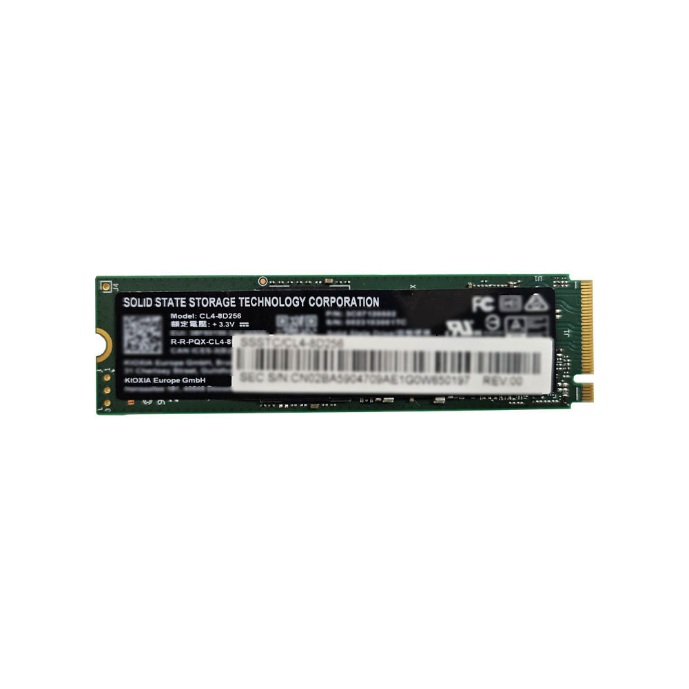 키오시아 CL4-8D M.2 NVMe 벌크 (256GB)