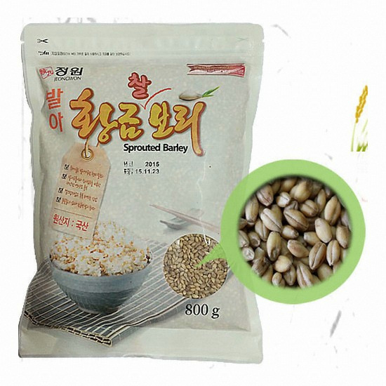 정원 발아 황금찰보리 800g (1개)_이미지