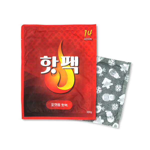 애니텍 애니데이 포켓형 핫팩 100g (40개)