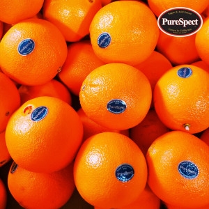 블랙라벨 오렌지 5kg내외 특대과 56과 크기 16과 12-19Brix 최상급 고당도 오렌지 과일