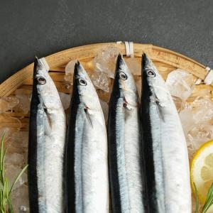 꽁치 1kg 8-11마리
