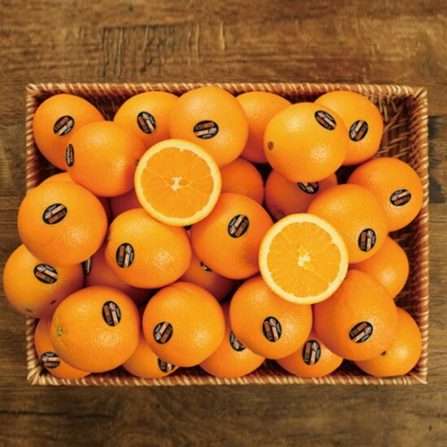 미식탐구생활 고당도 블랙라벨 오렌지 중과 88개입 17kg내외 (1개)_이미지