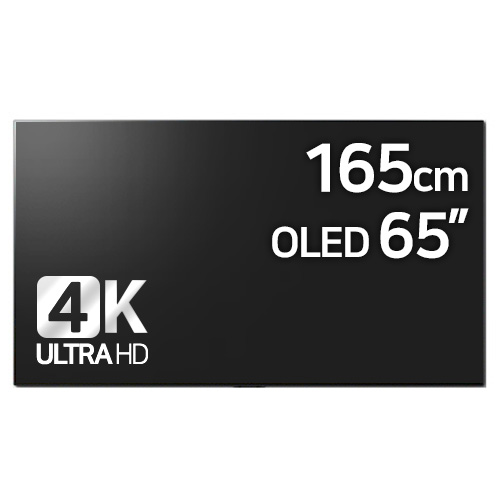 LG전자 올레드 evo OLED65G1PUA 해외구매 (관부가세별도)